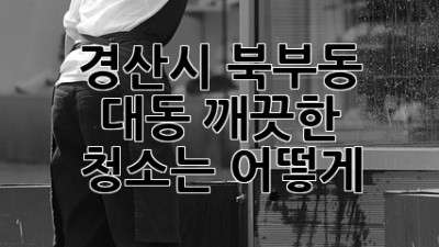 경산시 북부동 대동, 깨끗한 청소는 어떻게?