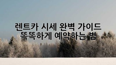 🚗 렌트카 시세 완벽 가이드: 똑똑하게 예약하는 법 💰